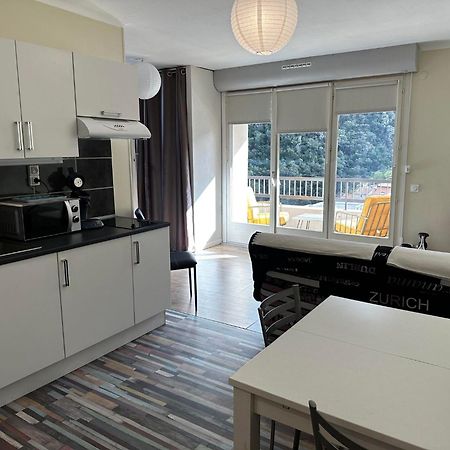 Studio Tout Equipe Amelie-les-Bains-Palalda ภายนอก รูปภาพ