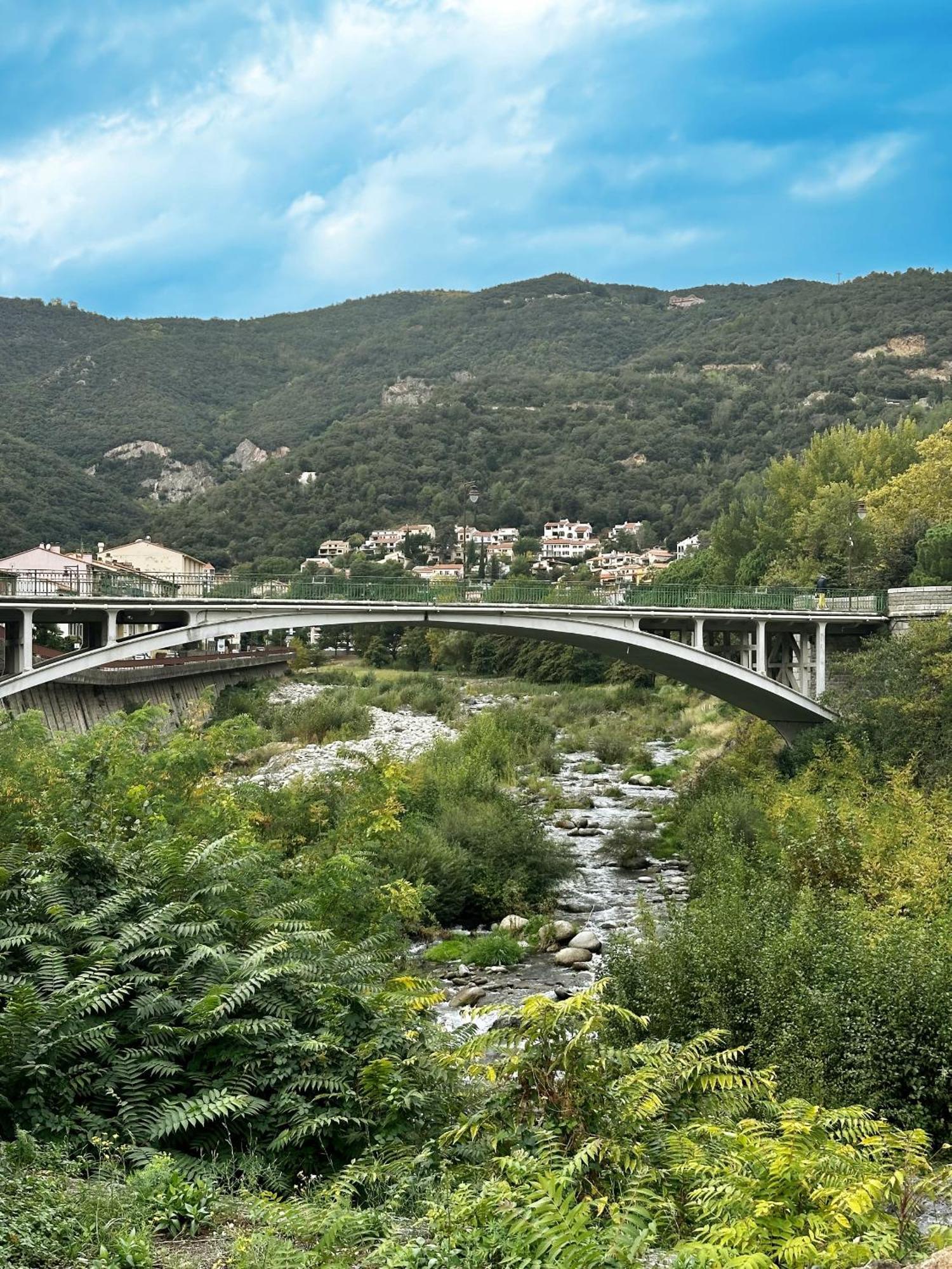 Studio Tout Equipe Amelie-les-Bains-Palalda ภายนอก รูปภาพ