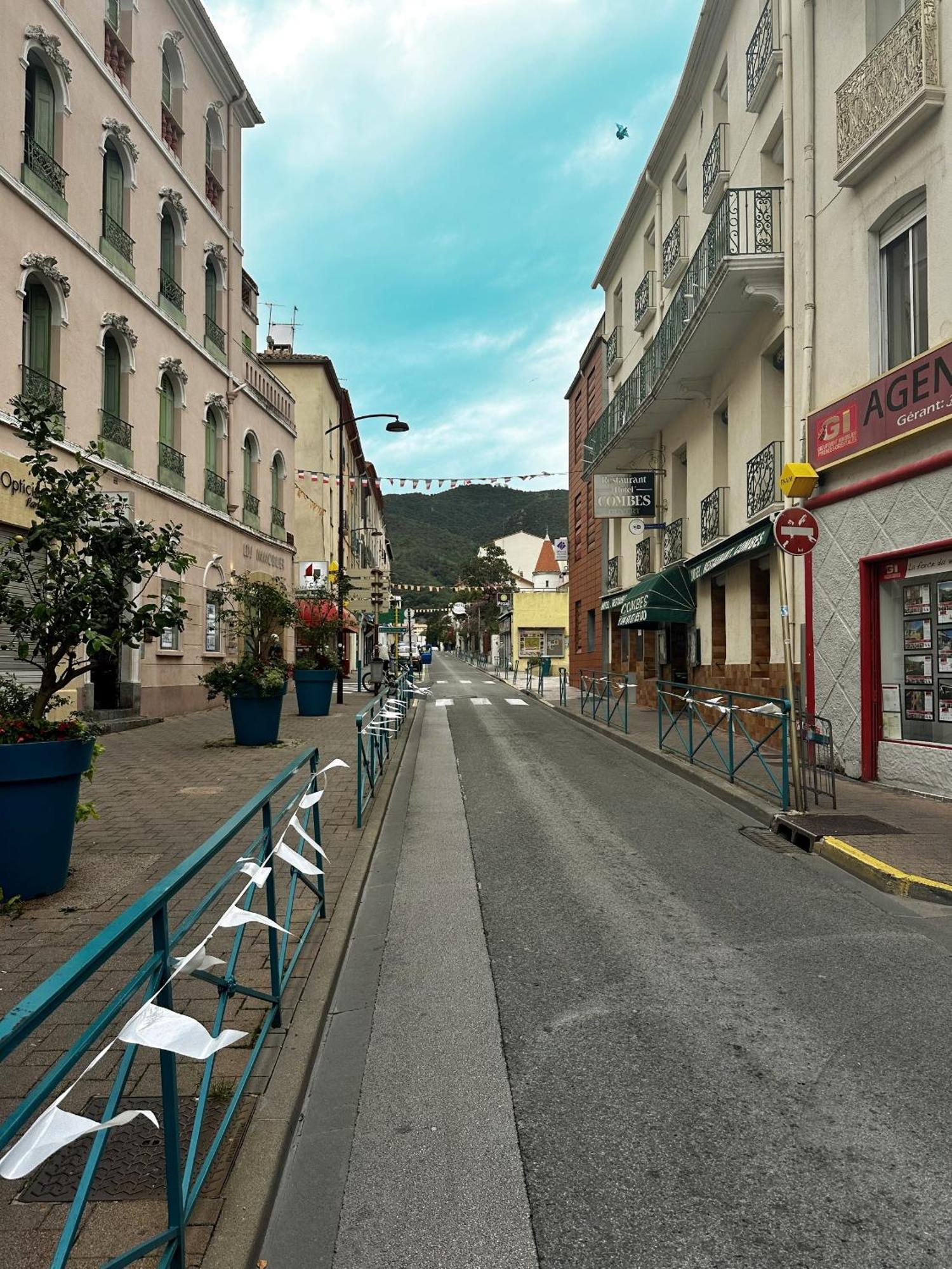 Studio Tout Equipe Amelie-les-Bains-Palalda ภายนอก รูปภาพ