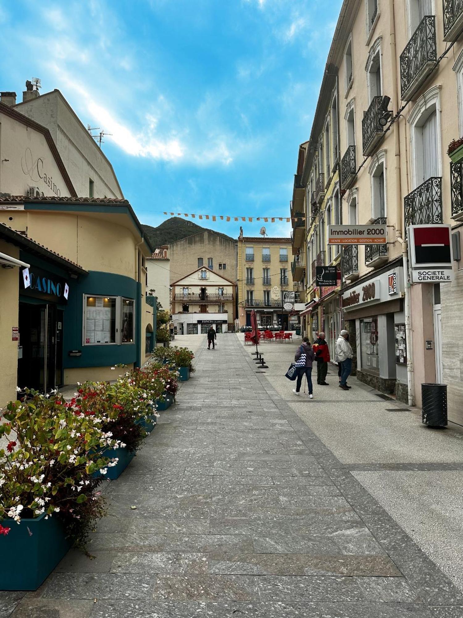 Studio Tout Equipe Amelie-les-Bains-Palalda ภายนอก รูปภาพ